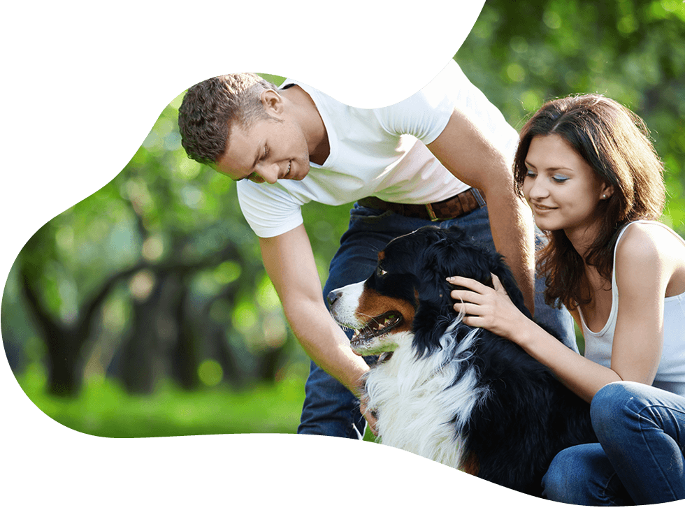 Pawsitive https://bajarnia.pl/wp-content/uploads/2019/07/hero_image_10.png