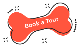 https://bajarnia.pl/wp-content/uploads/2019/08/book_tour.png