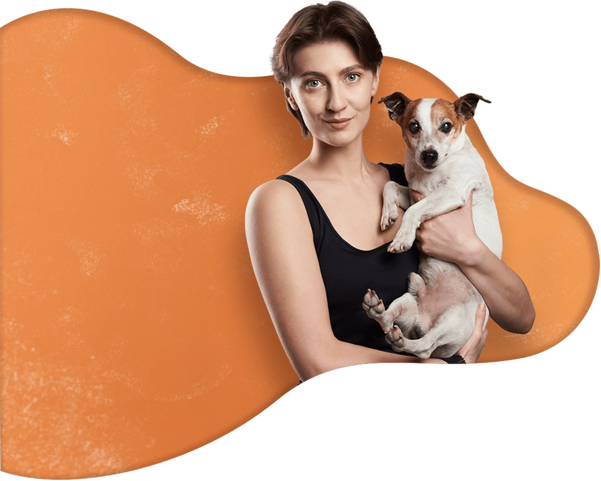 https://bajarnia.pl/wp-content/uploads/2019/08/hero_image_16.png